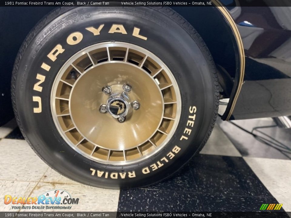 1981 Pontiac Firebird Trans Am Coupe Wheel Photo #6