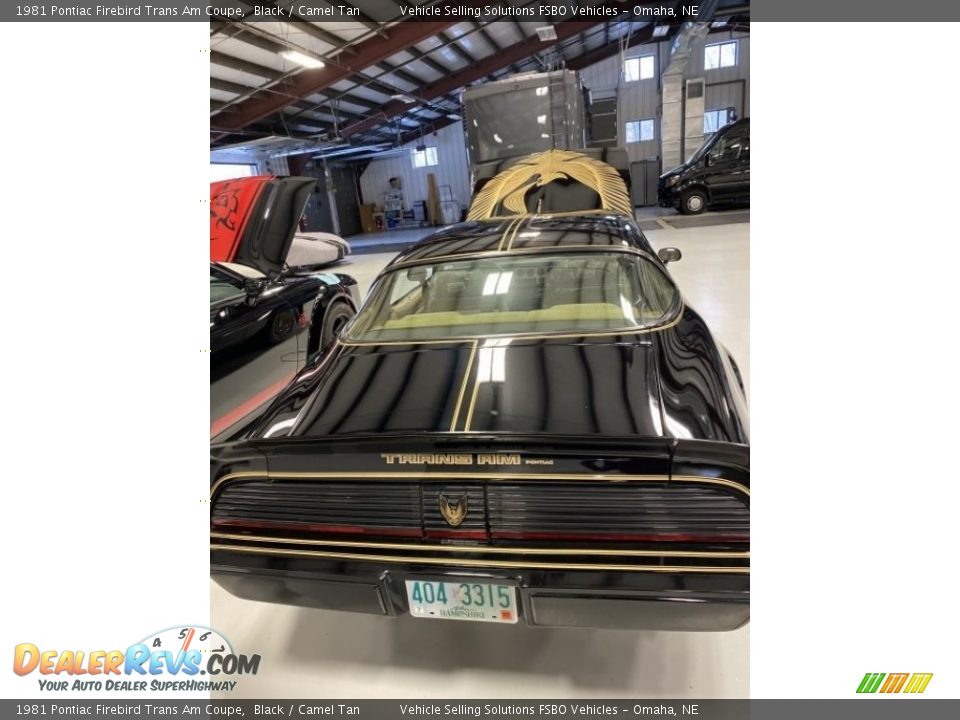 1981 Pontiac Firebird Trans Am Coupe Black / Camel Tan Photo #9