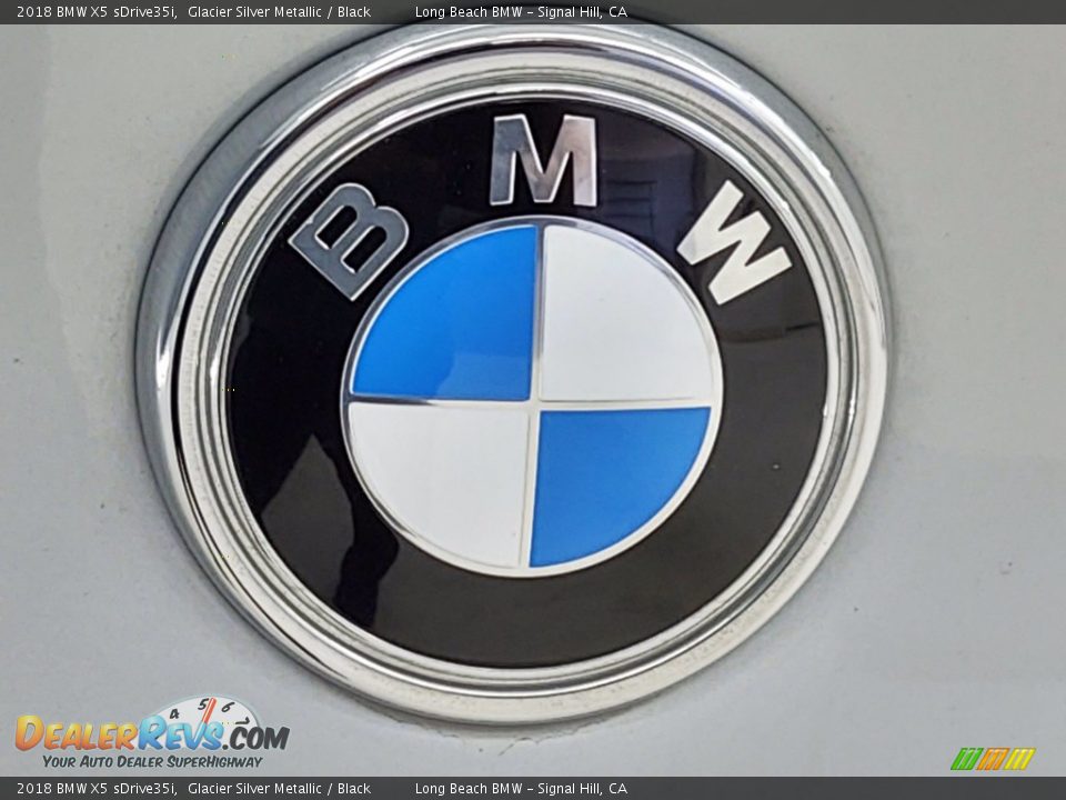 2018 BMW X5 sDrive35i Glacier Silver Metallic / Black Photo #10