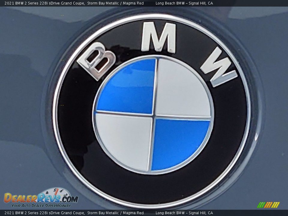 2021 BMW 2 Series 228i sDrive Grand Coupe Storm Bay Metallic / Magma Red Photo #5