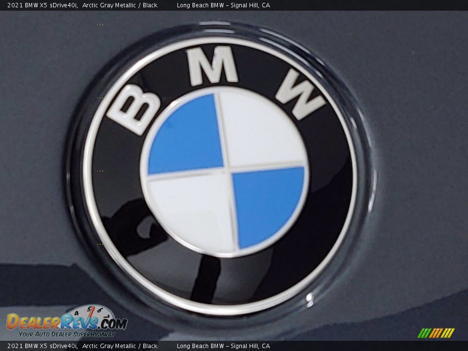 2021 BMW X5 sDrive40i Arctic Gray Metallic / Black Photo #5