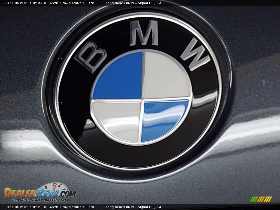 2021 BMW X5 sDrive40i Arctic Gray Metallic / Black Photo #7