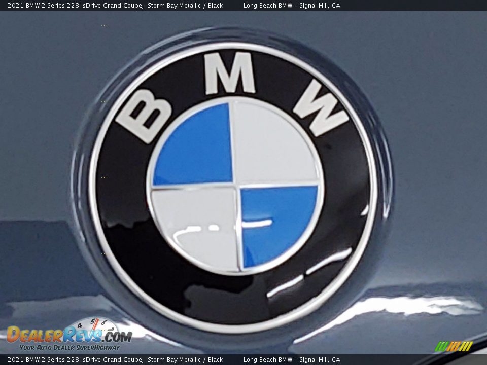 2021 BMW 2 Series 228i sDrive Grand Coupe Storm Bay Metallic / Black Photo #5