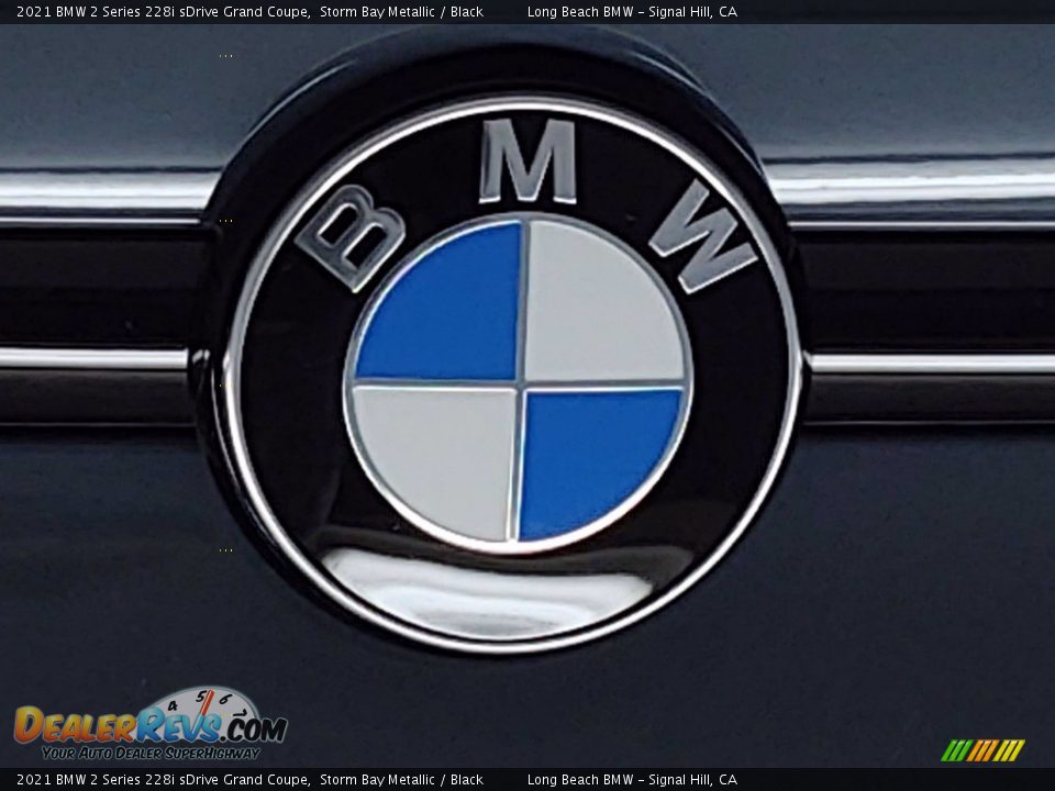 2021 BMW 2 Series 228i sDrive Grand Coupe Storm Bay Metallic / Black Photo #7