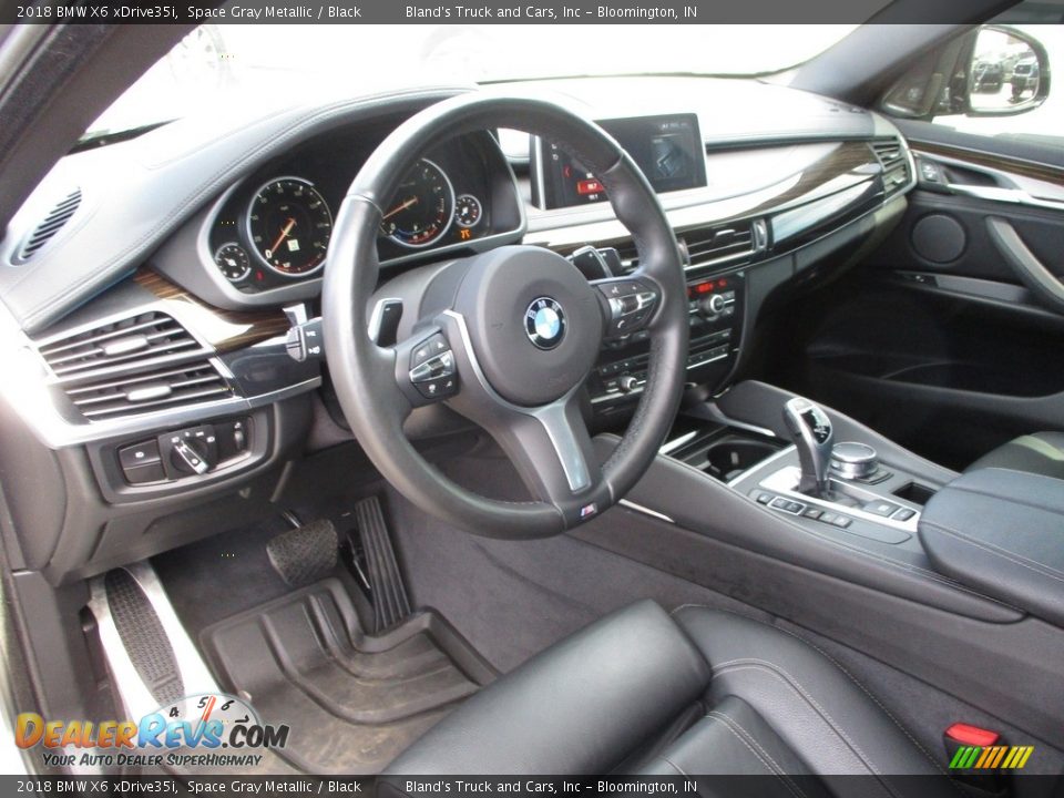 2018 BMW X6 xDrive35i Space Gray Metallic / Black Photo #6