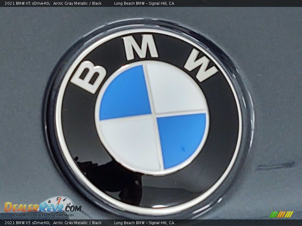 2021 BMW X5 sDrive40i Arctic Gray Metallic / Black Photo #5