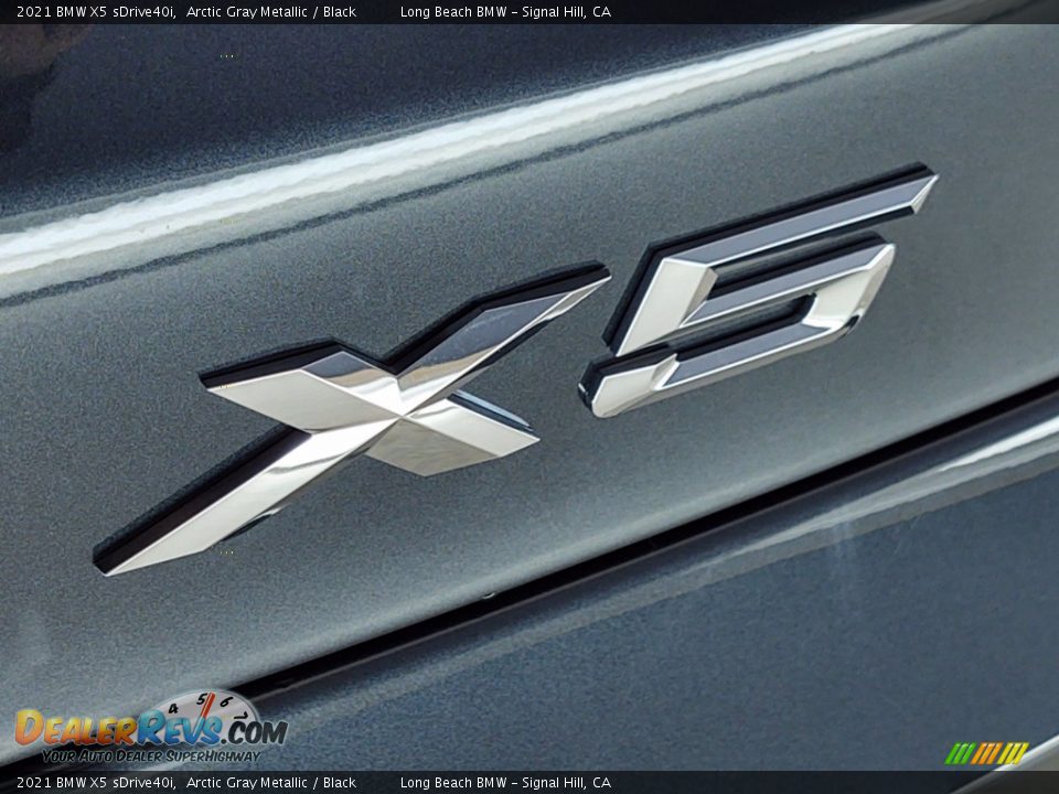 2021 BMW X5 sDrive40i Arctic Gray Metallic / Black Photo #8