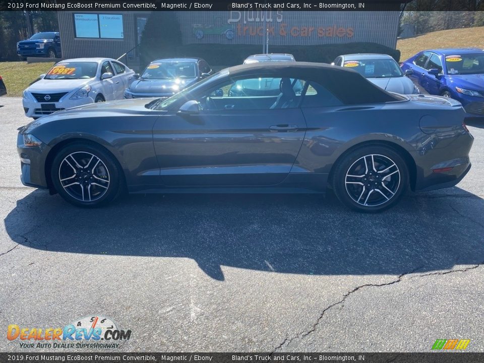 2019 Ford Mustang EcoBoost Premium Convertible Magnetic / Ebony Photo #1
