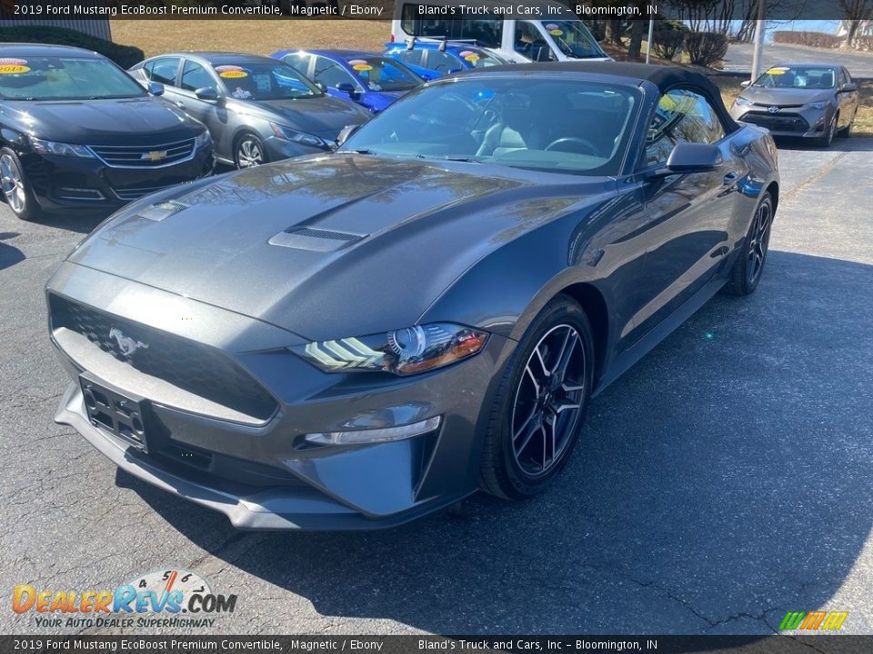 2019 Ford Mustang EcoBoost Premium Convertible Magnetic / Ebony Photo #2