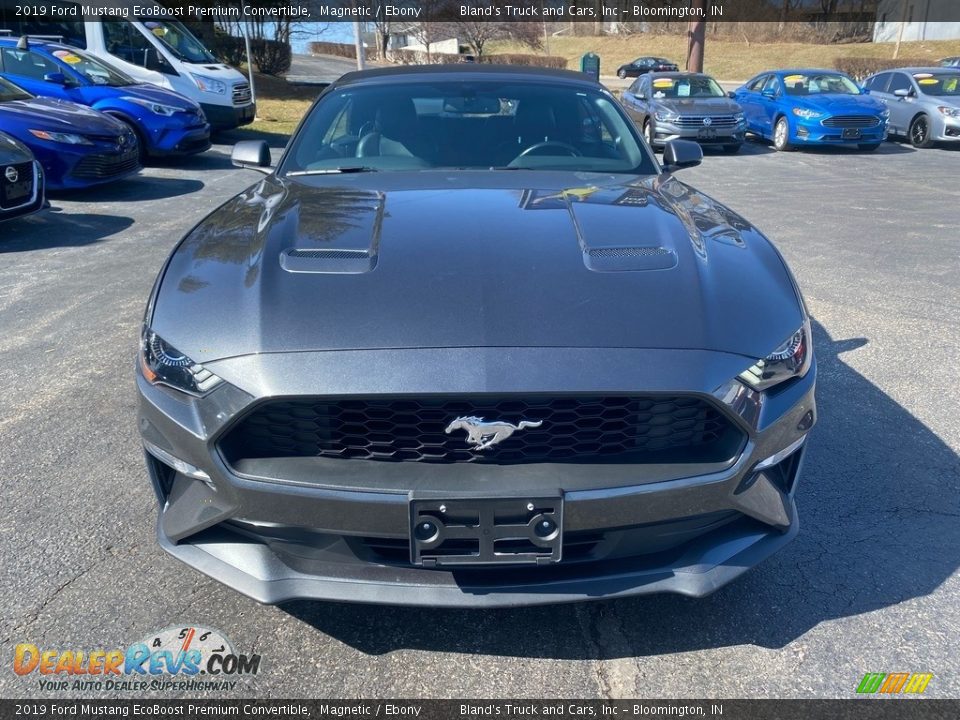 2019 Ford Mustang EcoBoost Premium Convertible Magnetic / Ebony Photo #3