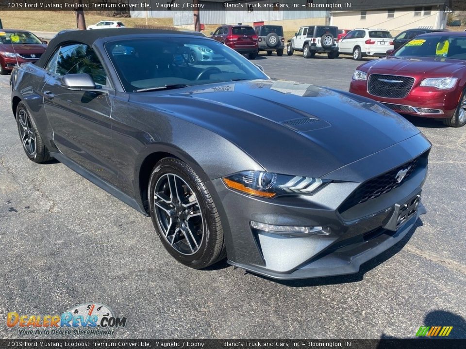 2019 Ford Mustang EcoBoost Premium Convertible Magnetic / Ebony Photo #4