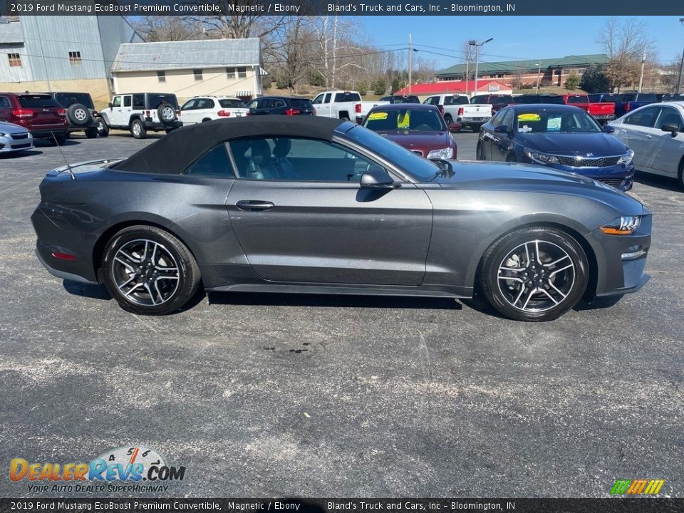 2019 Ford Mustang EcoBoost Premium Convertible Magnetic / Ebony Photo #5