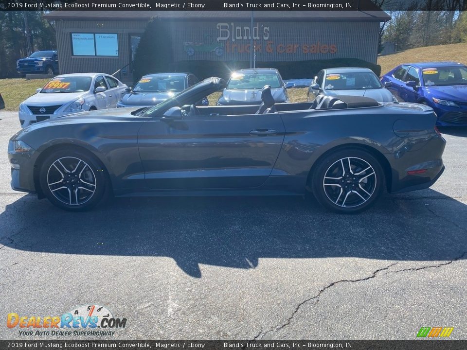 2019 Ford Mustang EcoBoost Premium Convertible Magnetic / Ebony Photo #9