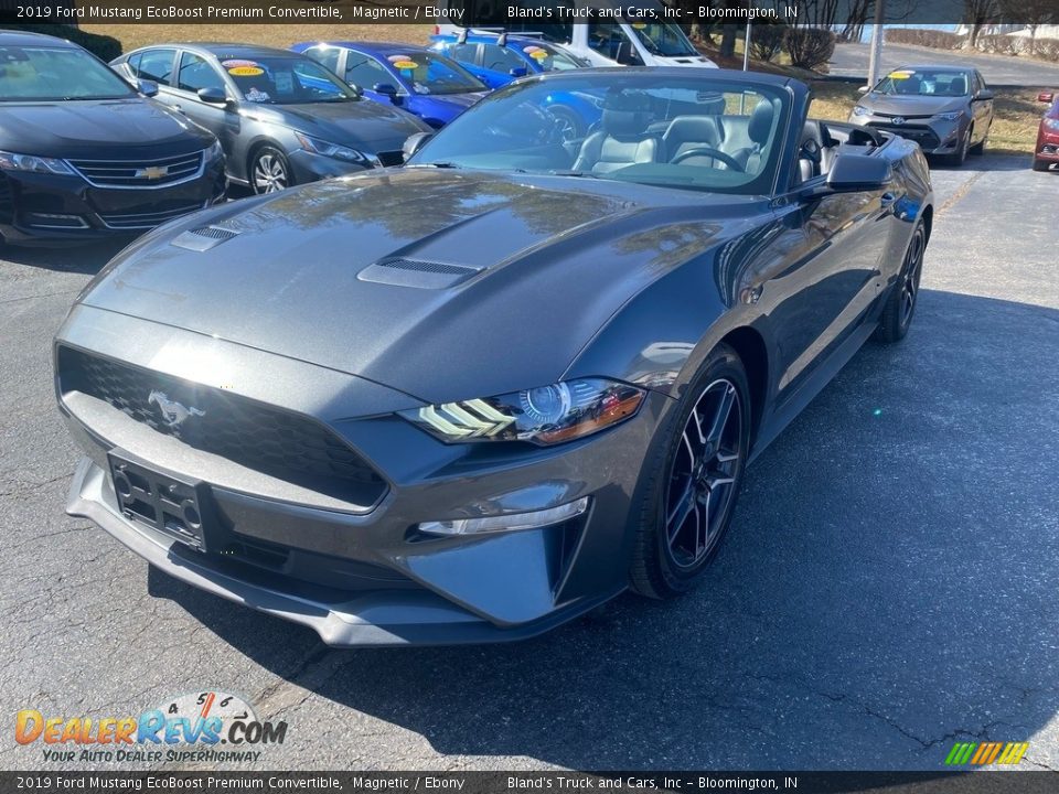 2019 Ford Mustang EcoBoost Premium Convertible Magnetic / Ebony Photo #10