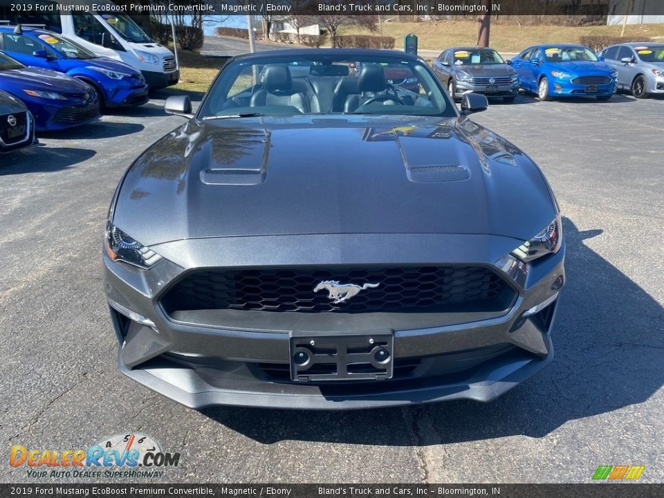 2019 Ford Mustang EcoBoost Premium Convertible Magnetic / Ebony Photo #11
