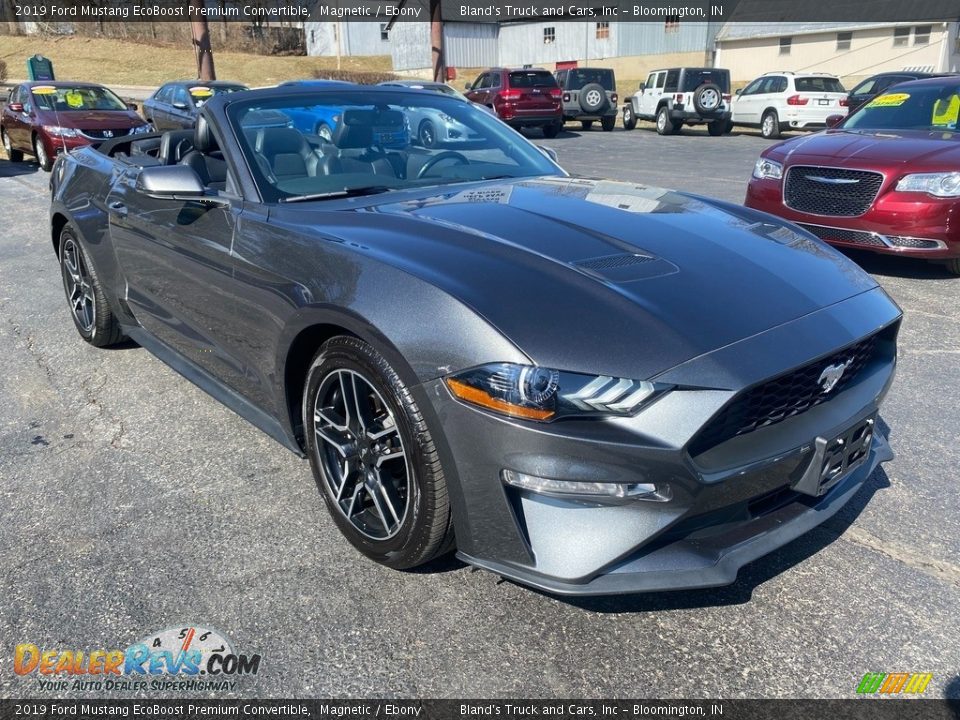 2019 Ford Mustang EcoBoost Premium Convertible Magnetic / Ebony Photo #12