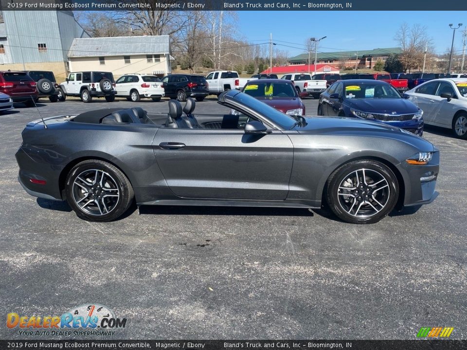 2019 Ford Mustang EcoBoost Premium Convertible Magnetic / Ebony Photo #13
