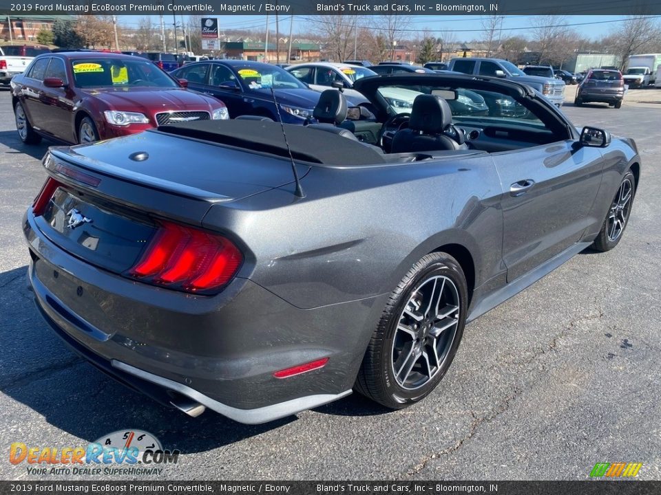 2019 Ford Mustang EcoBoost Premium Convertible Magnetic / Ebony Photo #14