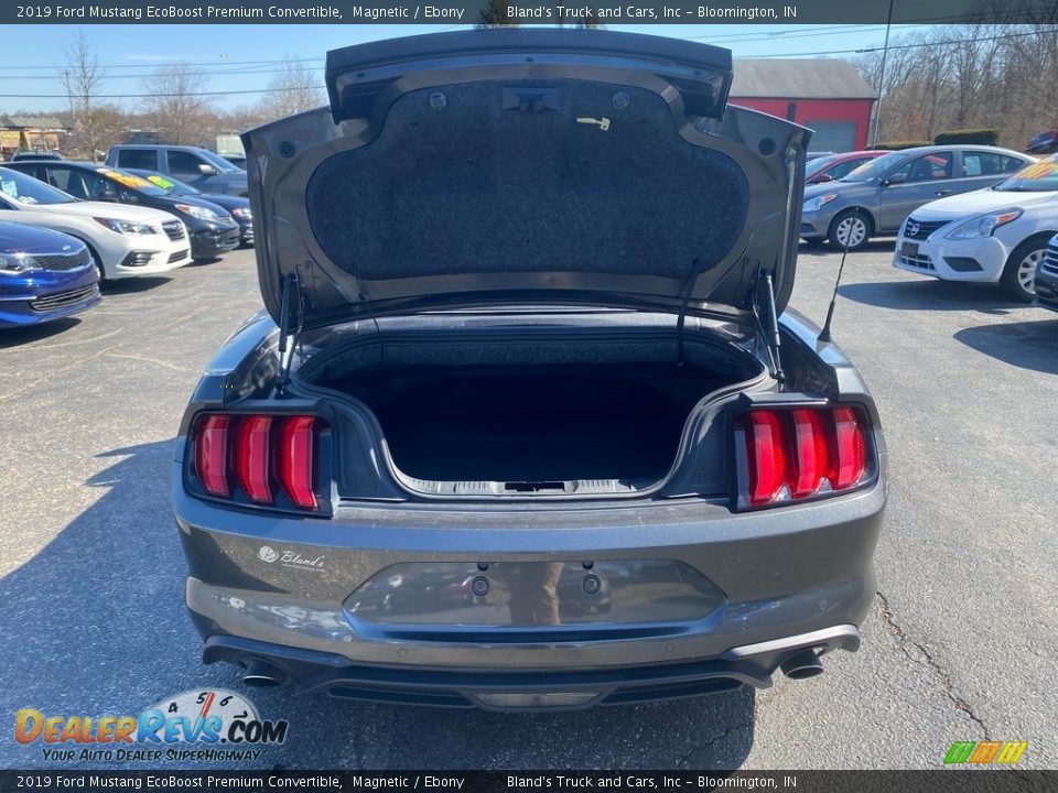 2019 Ford Mustang EcoBoost Premium Convertible Magnetic / Ebony Photo #17