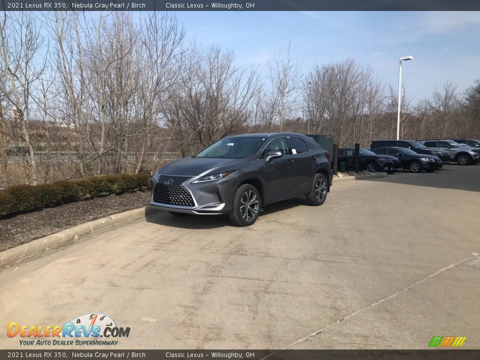 2021 Lexus RX 350 Nebula Gray Pearl / Birch Photo #1