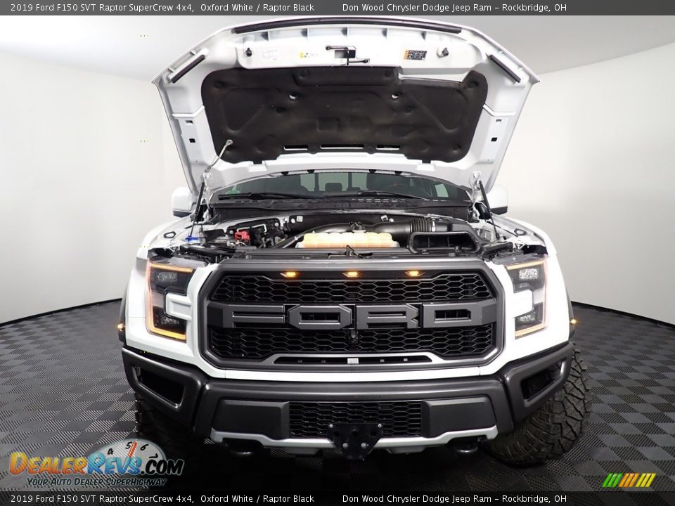 2019 Ford F150 SVT Raptor SuperCrew 4x4 Oxford White / Raptor Black Photo #9