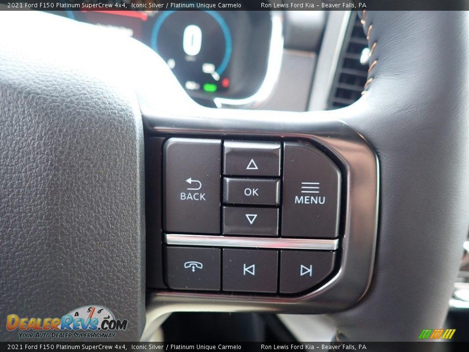 2021 Ford F150 Platinum SuperCrew 4x4 Iconic Silver / Platinum Unique Carmelo Photo #17