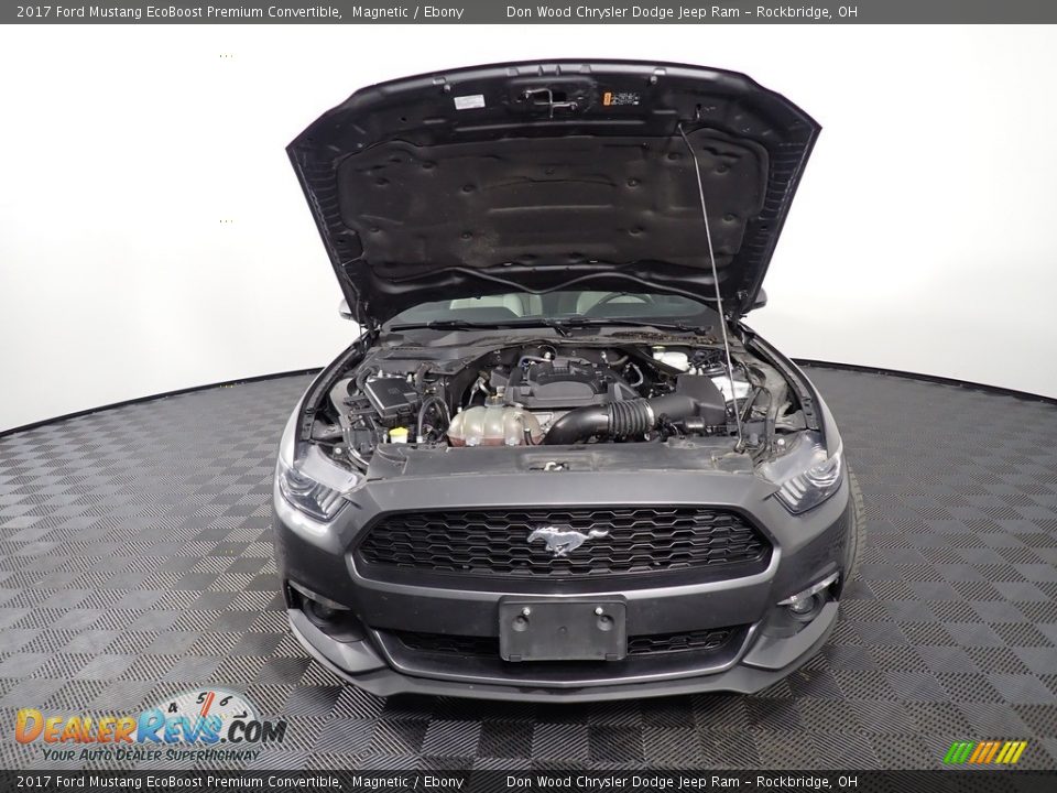 2017 Ford Mustang EcoBoost Premium Convertible Magnetic / Ebony Photo #8
