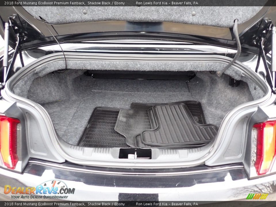 2018 Ford Mustang EcoBoost Premium Fastback Shadow Black / Ebony Photo #12