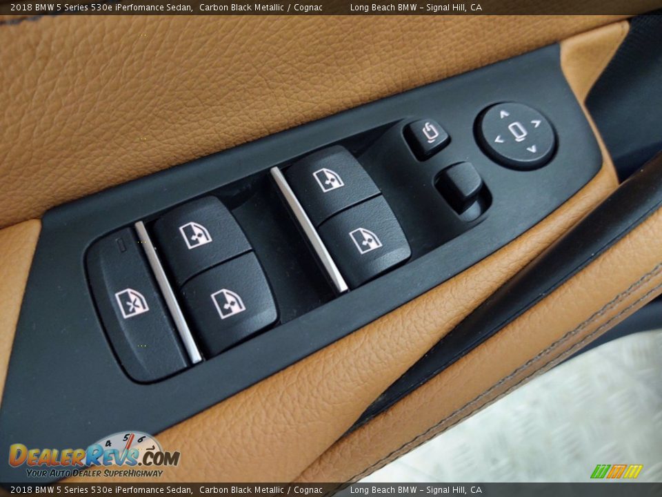 Door Panel of 2018 BMW 5 Series 530e iPerfomance Sedan Photo #13