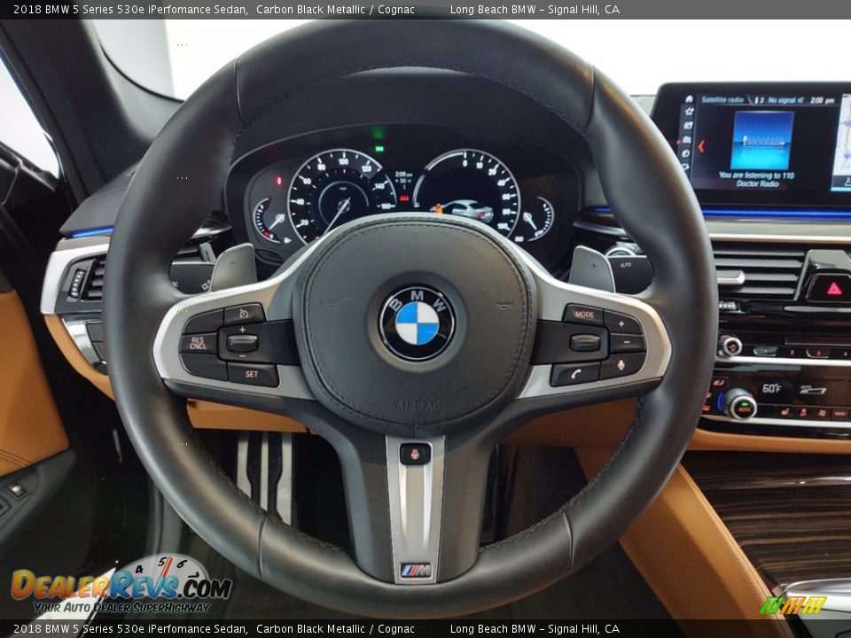 2018 BMW 5 Series 530e iPerfomance Sedan Steering Wheel Photo #17