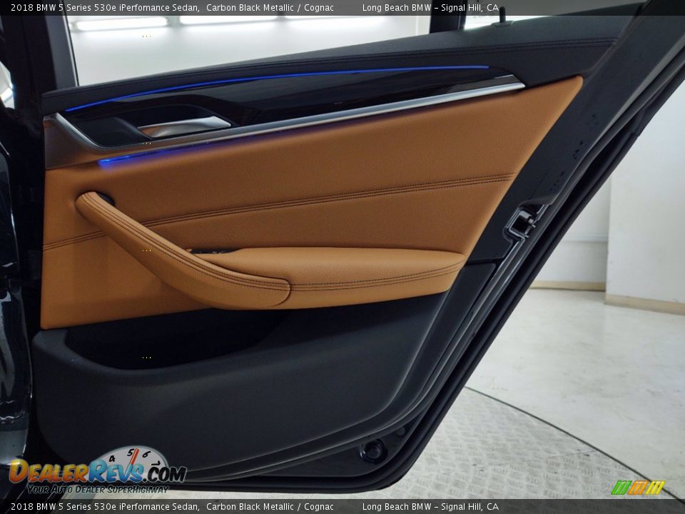 Door Panel of 2018 BMW 5 Series 530e iPerfomance Sedan Photo #34