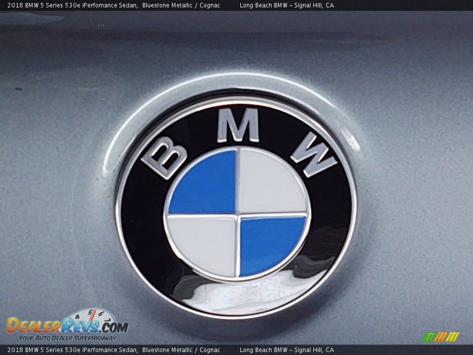 2018 BMW 5 Series 530e iPerfomance Sedan Bluestone Metallic / Cognac Photo #10