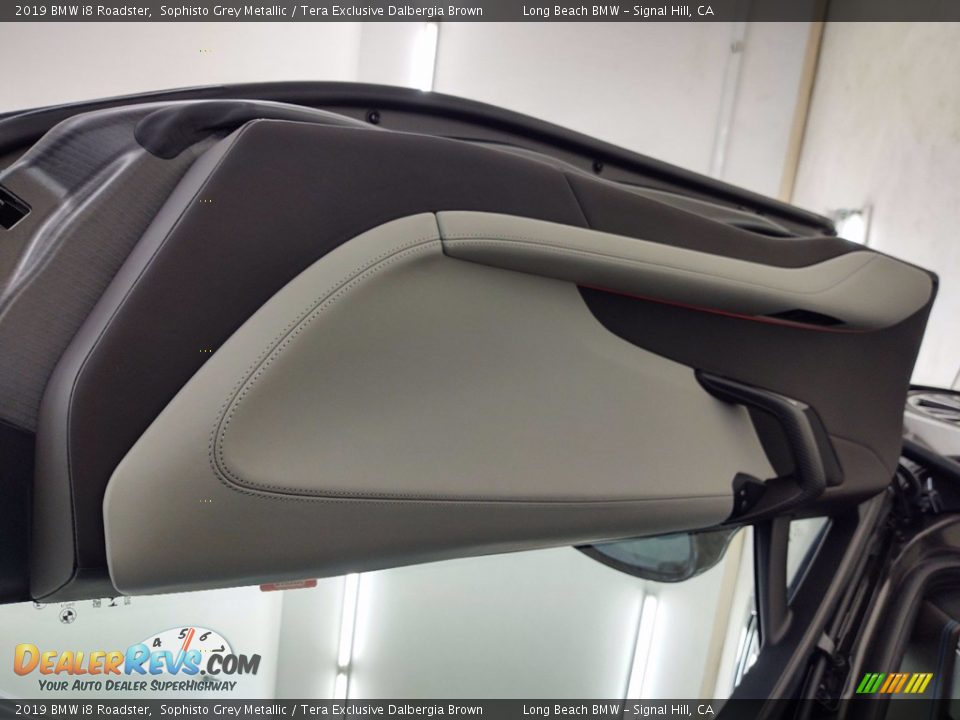 Door Panel of 2019 BMW i8 Roadster Photo #30