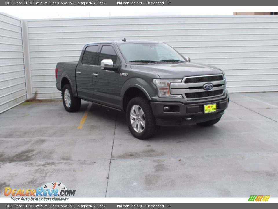 2019 Ford F150 Platinum SuperCrew 4x4 Magnetic / Black Photo #2