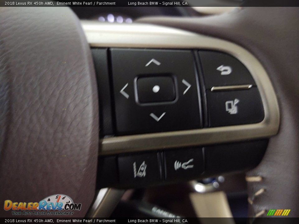 Controls of 2018 Lexus RX 450h AWD Photo #20