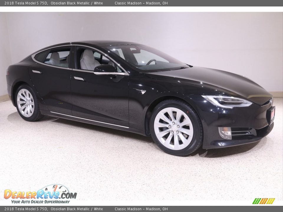 2018 Tesla Model S 75D Obsidian Black Metallic / White Photo #1