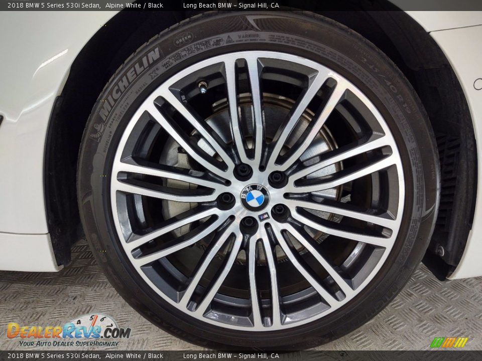 2018 BMW 5 Series 530i Sedan Alpine White / Black Photo #6