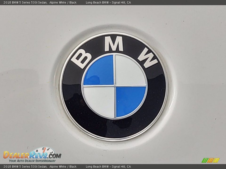 2018 BMW 5 Series 530i Sedan Alpine White / Black Photo #8