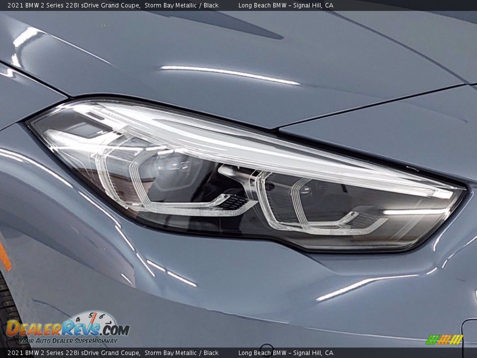 2021 BMW 2 Series 228i sDrive Grand Coupe Storm Bay Metallic / Black Photo #4