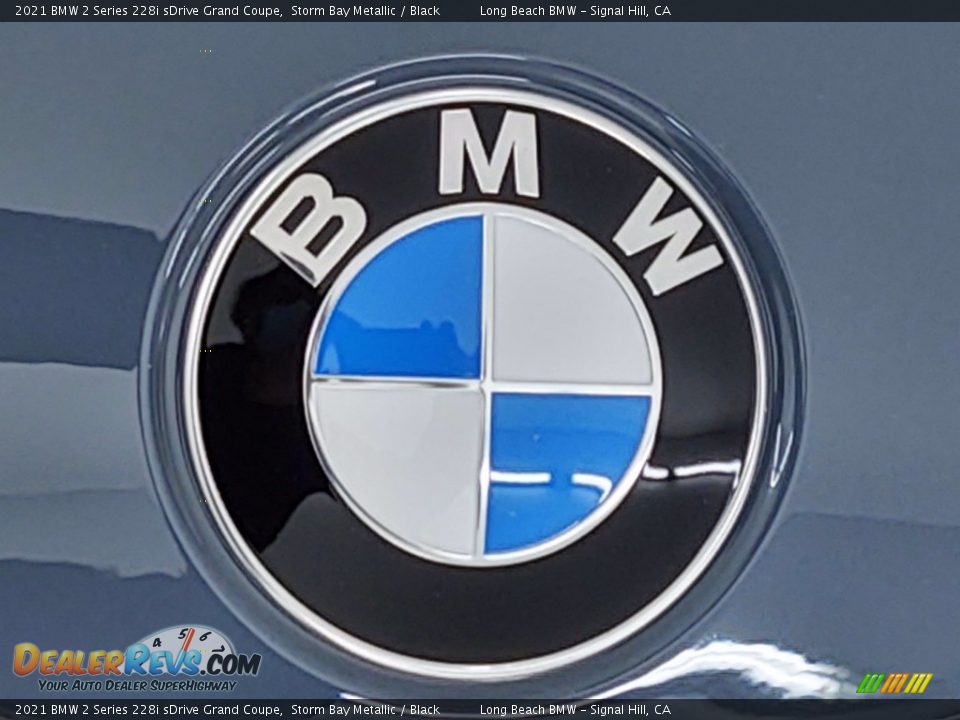 2021 BMW 2 Series 228i sDrive Grand Coupe Storm Bay Metallic / Black Photo #5