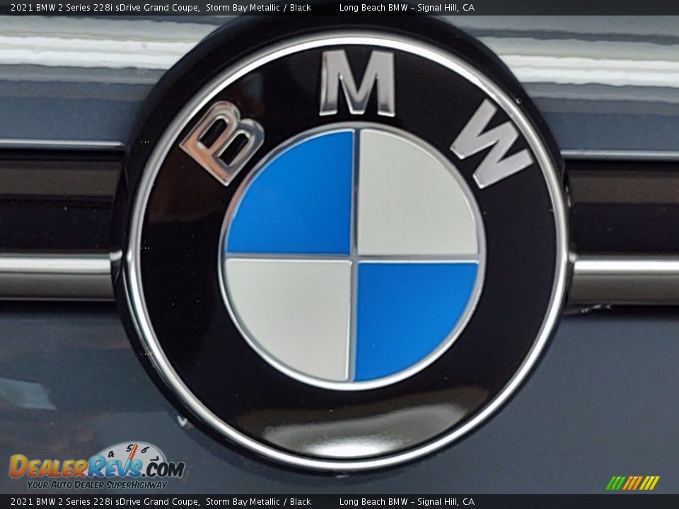 2021 BMW 2 Series 228i sDrive Grand Coupe Storm Bay Metallic / Black Photo #7