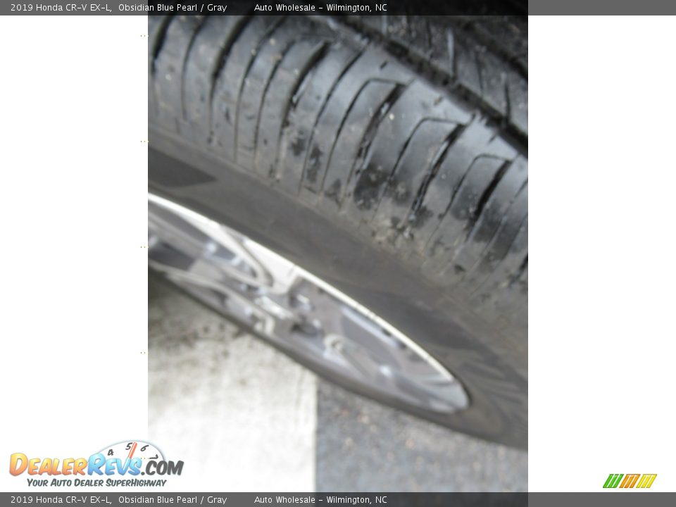 2019 Honda CR-V EX-L Obsidian Blue Pearl / Gray Photo #8