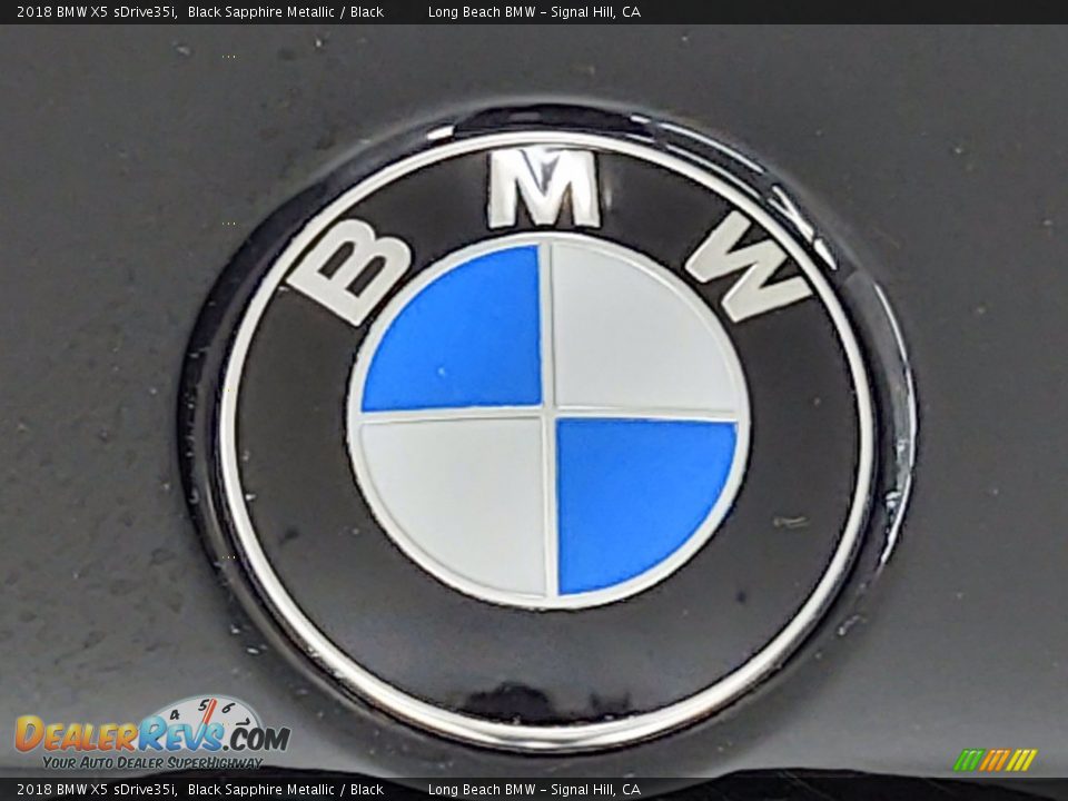 2018 BMW X5 sDrive35i Black Sapphire Metallic / Black Photo #8