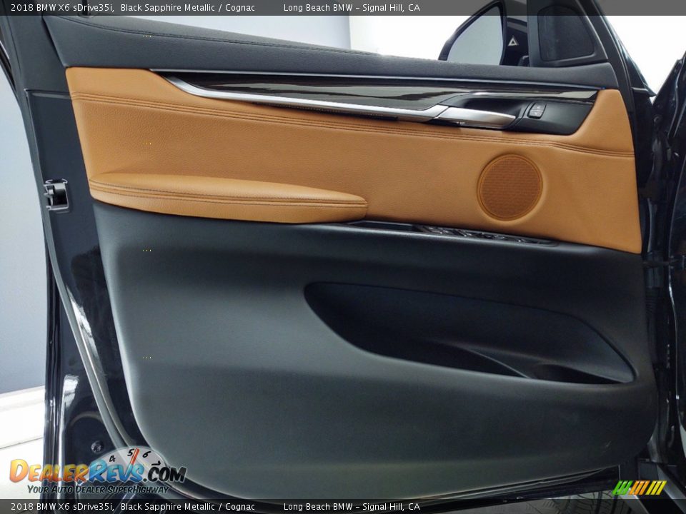 Door Panel of 2018 BMW X6 sDrive35i Photo #13