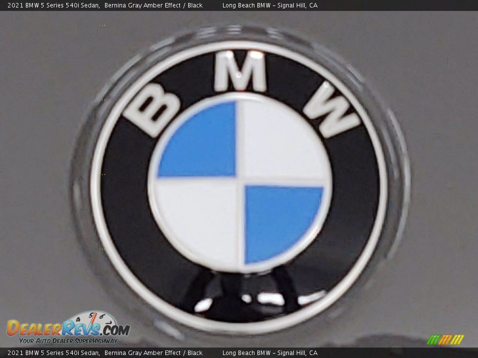 2021 BMW 5 Series 540i Sedan Bernina Gray Amber Effect / Black Photo #5