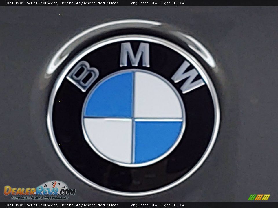 2021 BMW 5 Series 540i Sedan Bernina Gray Amber Effect / Black Photo #7