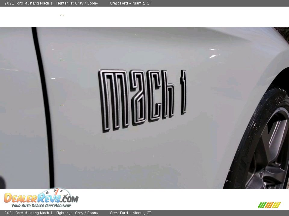 2021 Ford Mustang Mach 1 Logo Photo #25