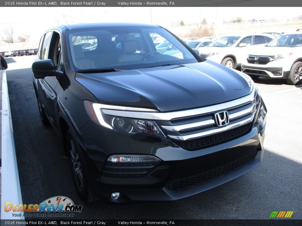 2016 Honda Pilot EX-L AWD Black Forest Pearl / Gray Photo #7