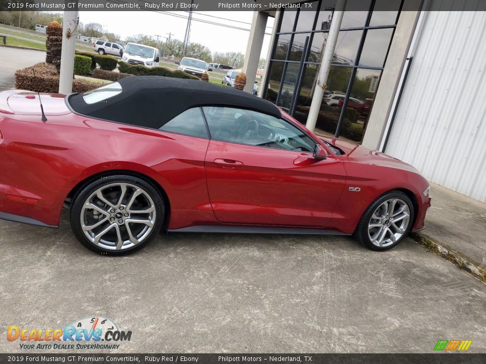 2019 Ford Mustang GT Premium Convertible Ruby Red / Ebony Photo #12