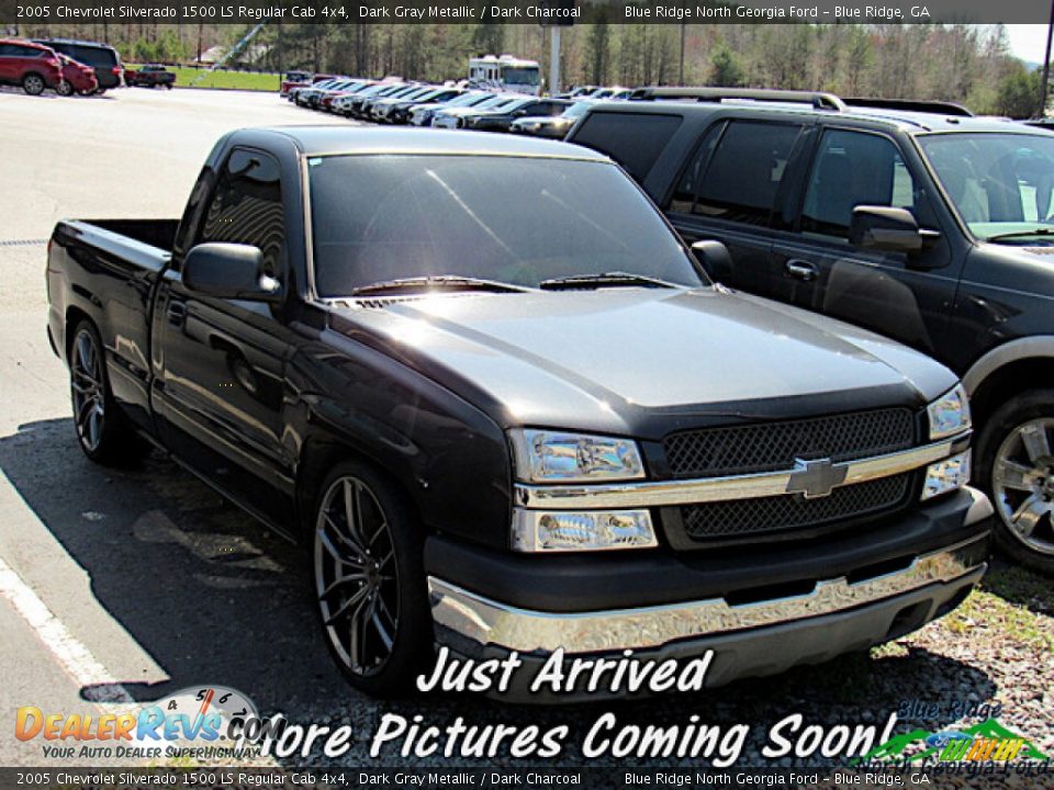 2005 Chevrolet Silverado 1500 LS Regular Cab 4x4 Dark Gray Metallic / Dark Charcoal Photo #1